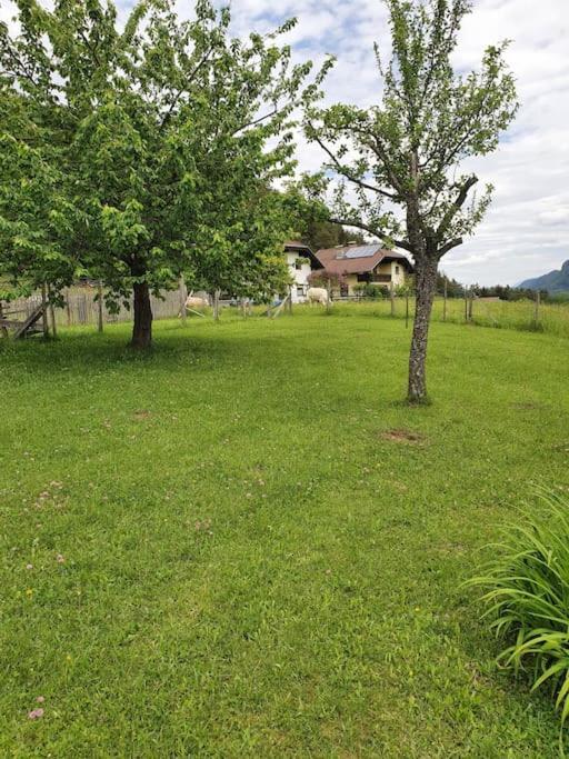 קיוטשכן אם סי Charmantes Ferienhaus In Bester Lage מראה חיצוני תמונה